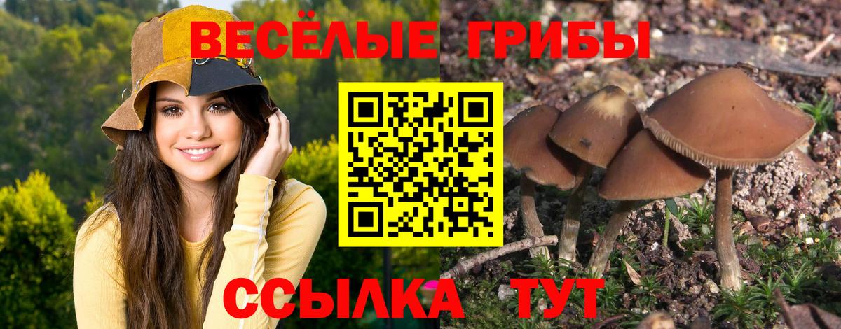 Псилоцибиновые грибы MAGIC MUSHROOMS  Вход с VPN  Фрязино 